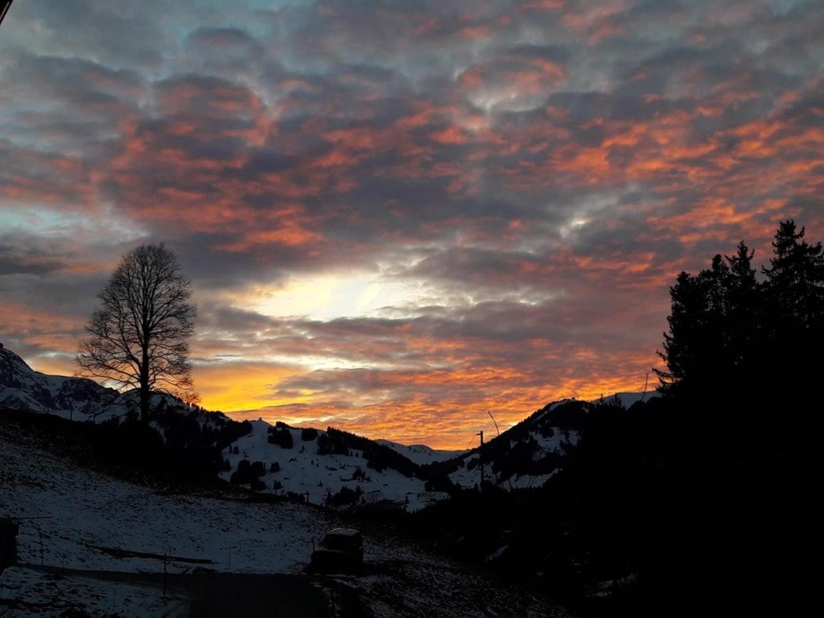 Ferien In Der Bergwelt Von Adelboden Acomodação com café da manhã Exterior foto